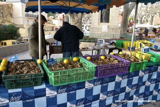 Fresh oysters from Collioure market